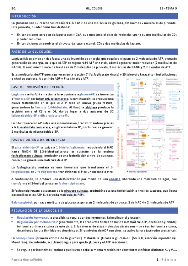 Miniatura del documento T9.pdf