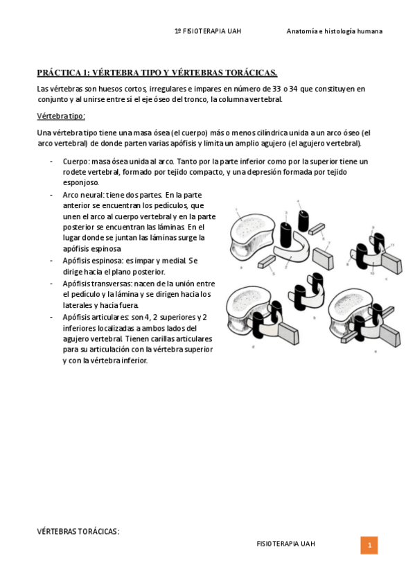 Miniatura del documento PRACTICAS-1-9.pdf