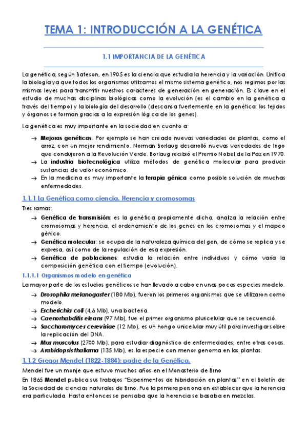 Miniatura del documento TEMA-1.pdf