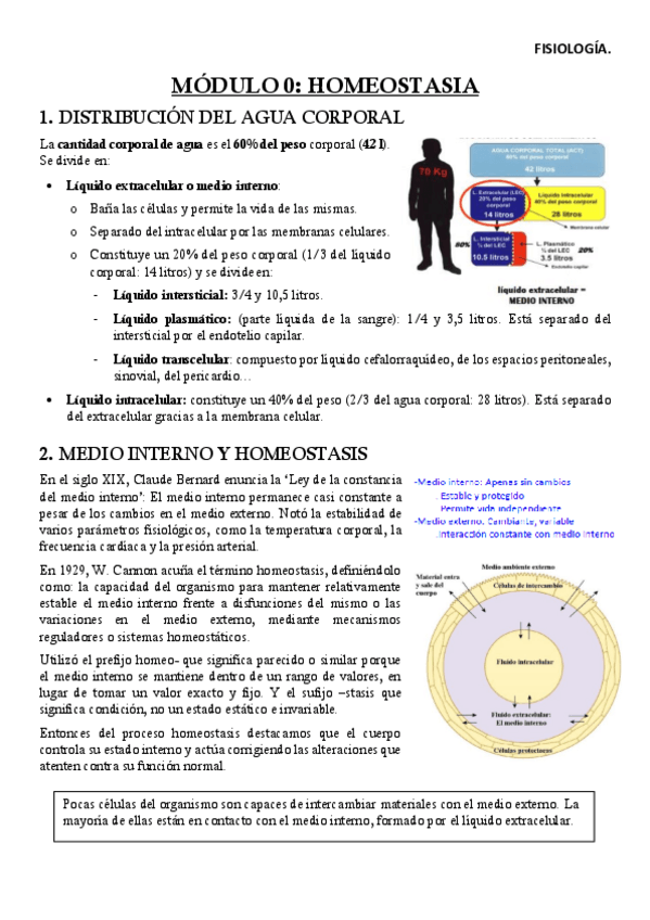 Miniatura del documento FISM0Apuntes.pdf