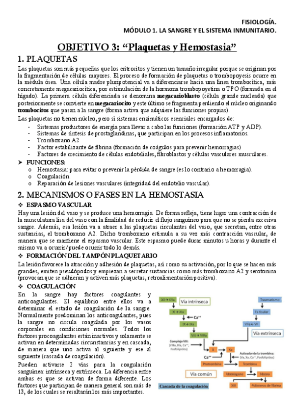 Miniatura del documento FISM1OB3Apuntes.pdf