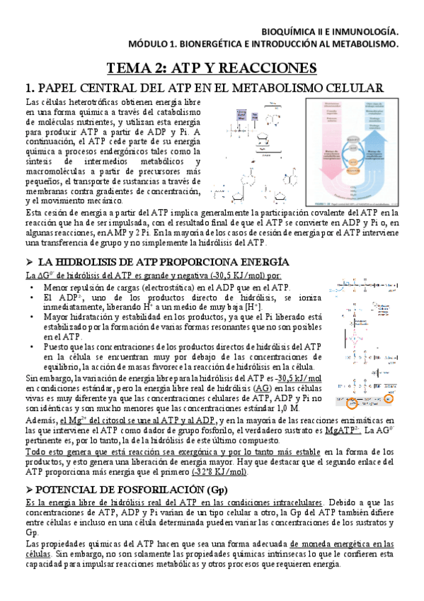 Miniatura del documento BQM1T2Apuntes.pdf