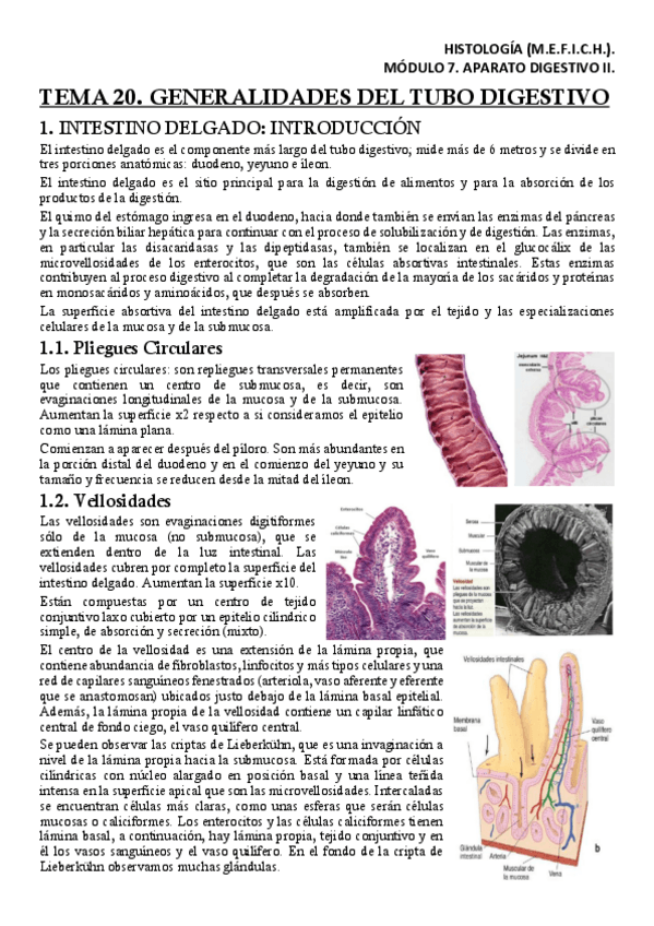 Miniatura del documento HISM7T20Apuntes.pdf