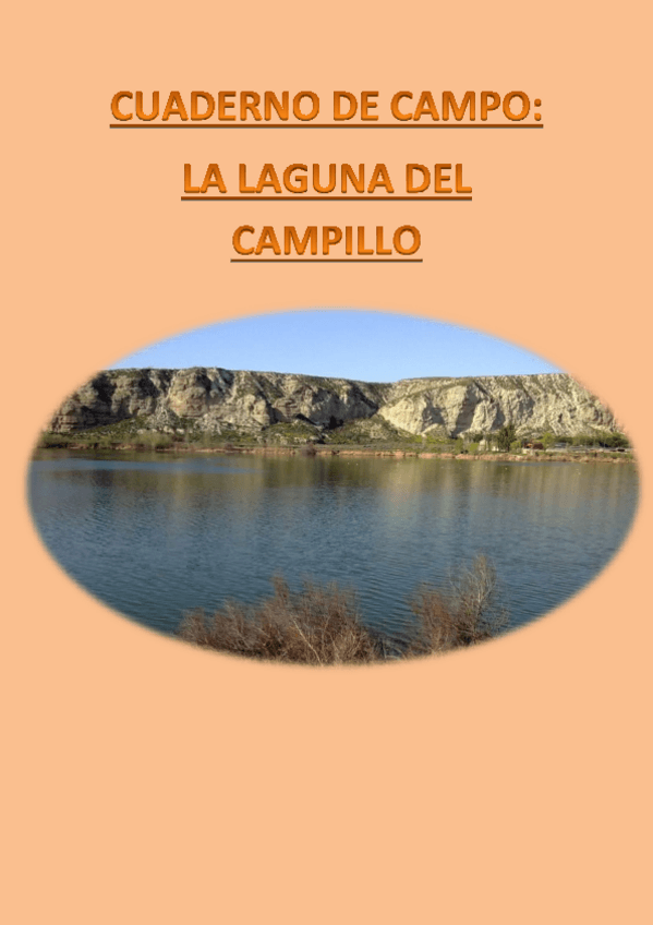 Miniatura del documento CUADERNO-DE-CAMPO.pdf