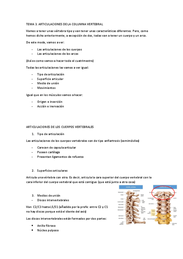 Miniatura del documento T3-ANATOMIA-FUNCIONAL.pdf