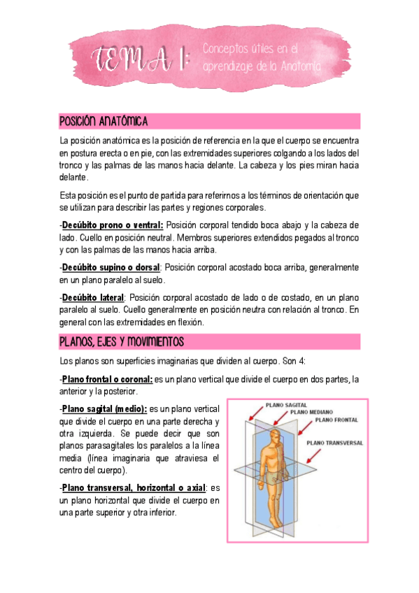 Miniatura del documento Tema-1-Conceptos-utiles-en-el-aprendizaje-de-la-Anatomia.pdf