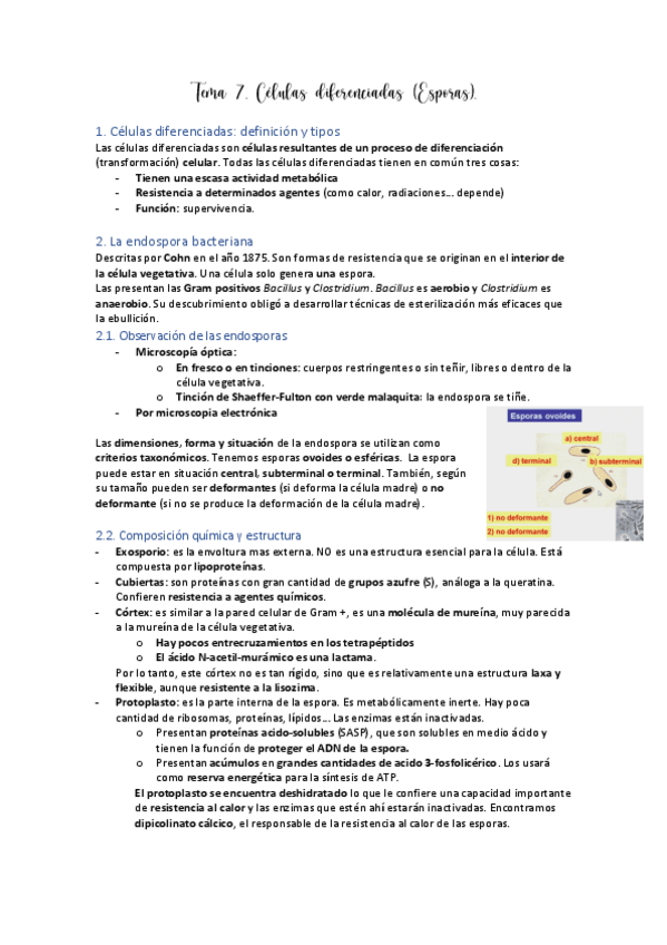 Miniatura del documento Tema-7.pdf