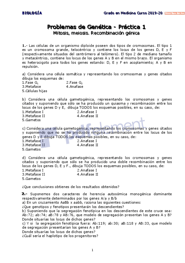 Miniatura del documento Problemas-1-RESUELTOS.pdf