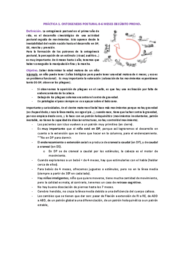 Miniatura del documento PRACTICA-1-DP-de-0-6-meses.pdf