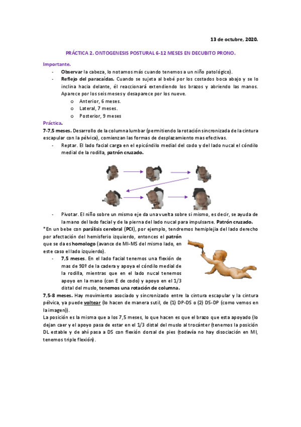 Miniatura del documento PRACTICA-2-DP-6-12-meses.pdf