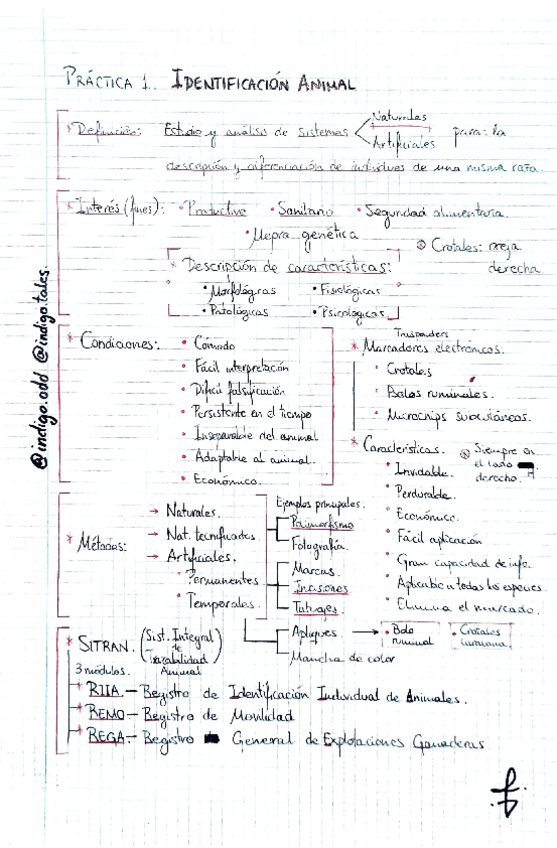 Miniatura del documento Ganaderia-Resumen-de-Practicas-feten.pdf