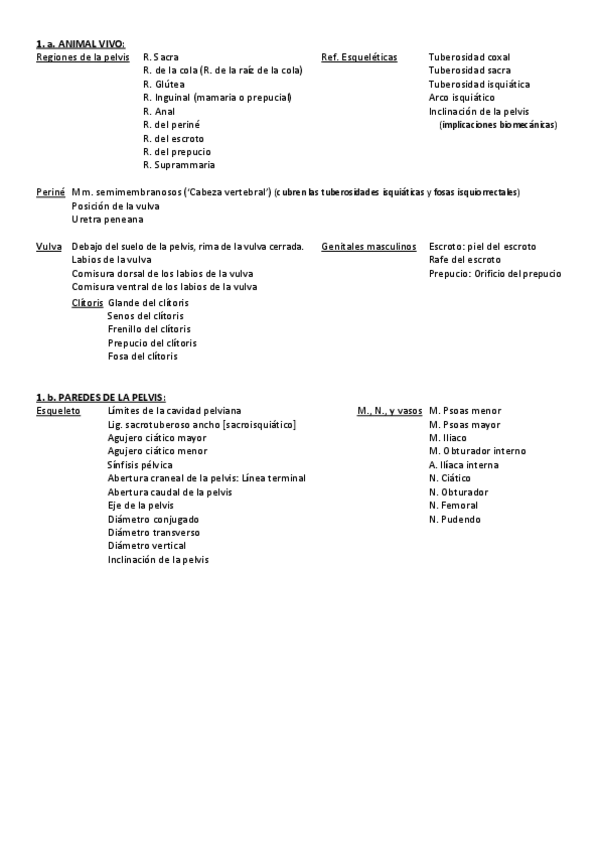 Miniatura del documento OBJETIVOS6.pdf