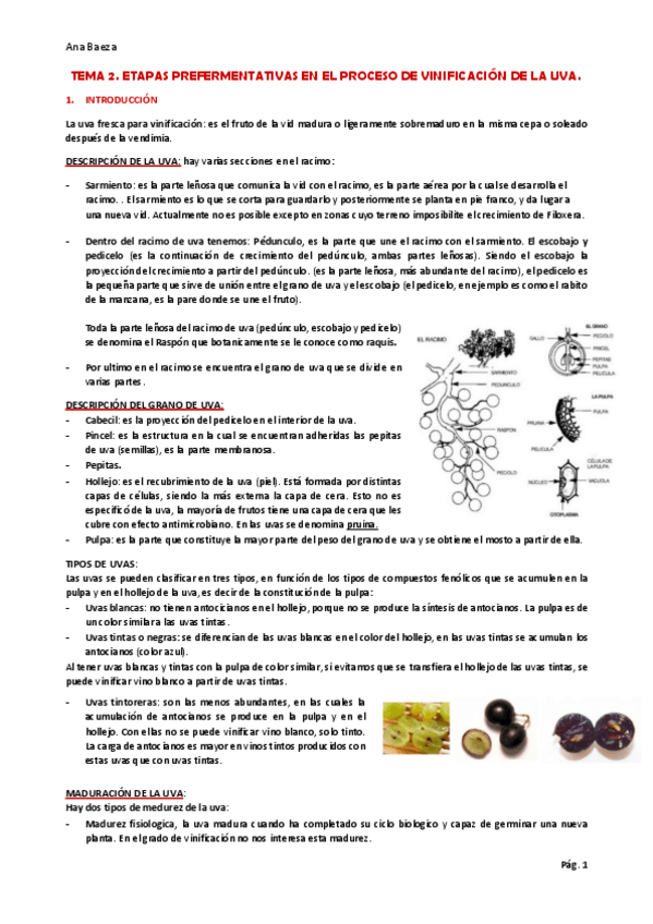 Miniatura del documento TEMA-2.pdf