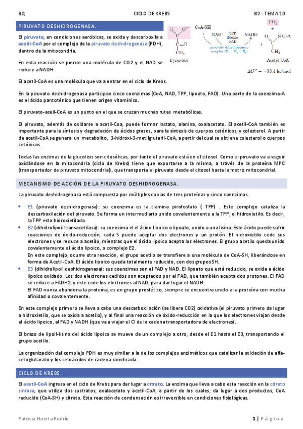 Miniatura del documento T10.pdf