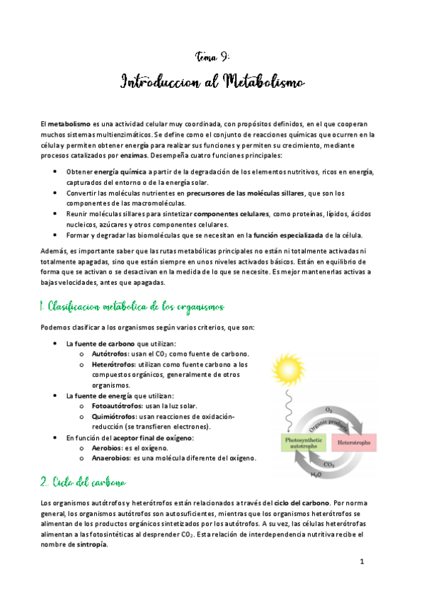 Miniatura del documento TEMA-9.pdf