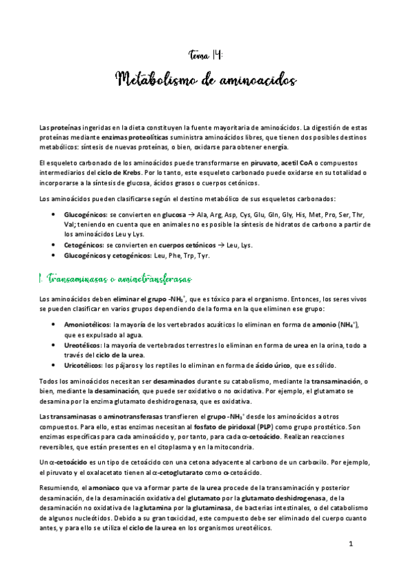Miniatura del documento TEMA-14.pdf