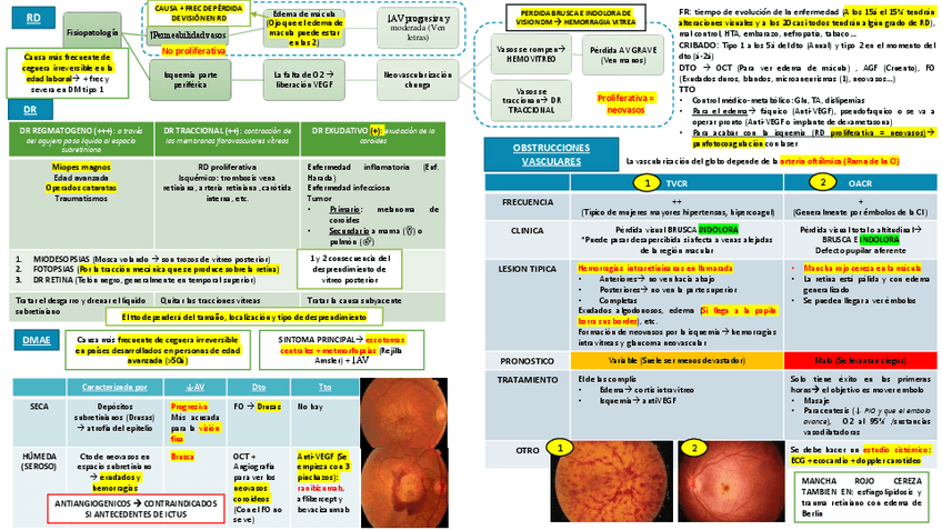 Miniatura del documento OFTALMO.pdf