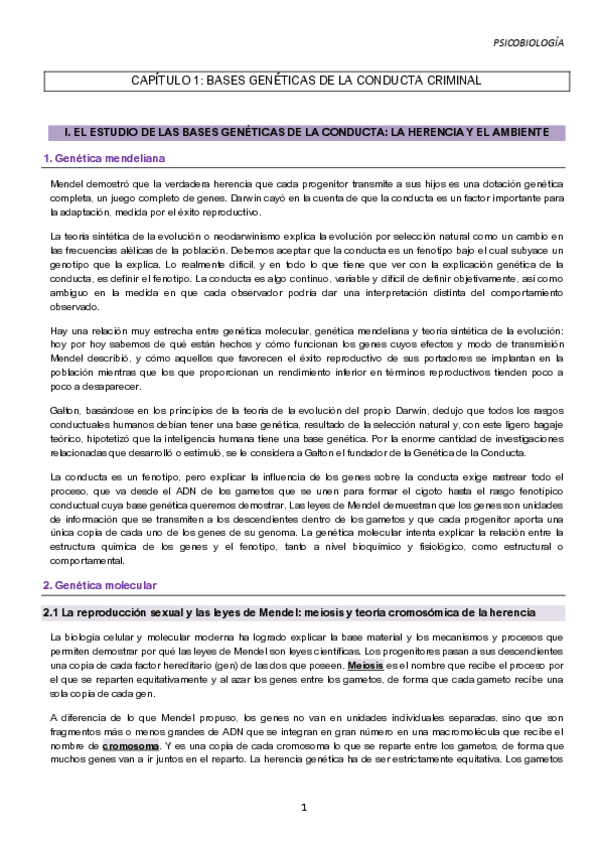 Miniatura del documento CAPITULO-2.pdf