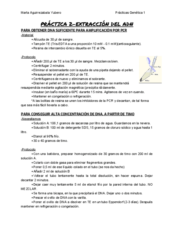 Miniatura del documento P2.pdf
