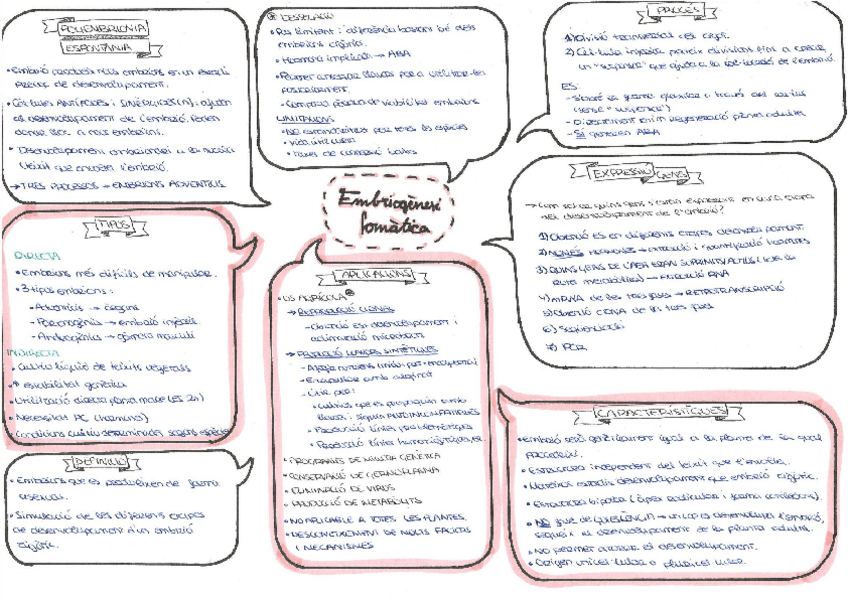 Miniatura del documento 16-Embriogenesi-somatica.pdf