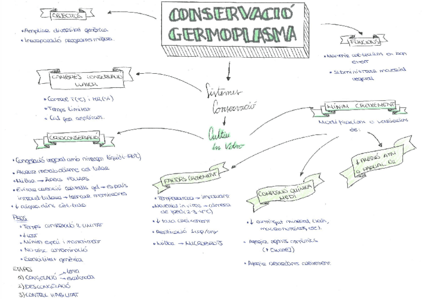 Miniatura del documento 14-Conservacio-germoplasma.pdf