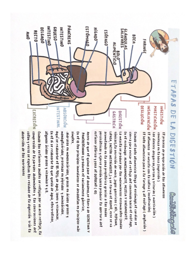 Miniatura del documento DELGADO.pdf