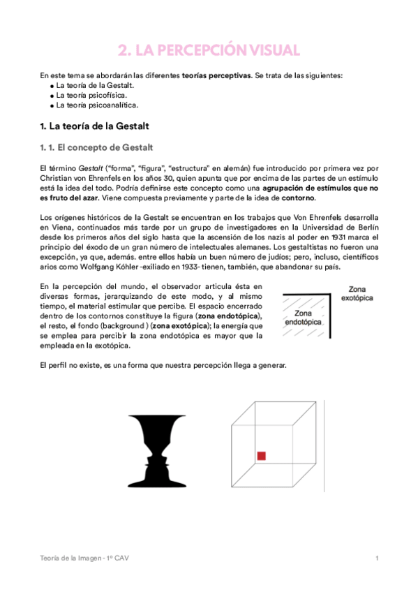 Miniatura del documento Tema 2. La percepción visual.pdf