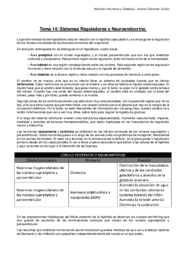 Miniatura del documento Tema-14-Sistemas-Reguladores-y-Neuroendocrino.pdf