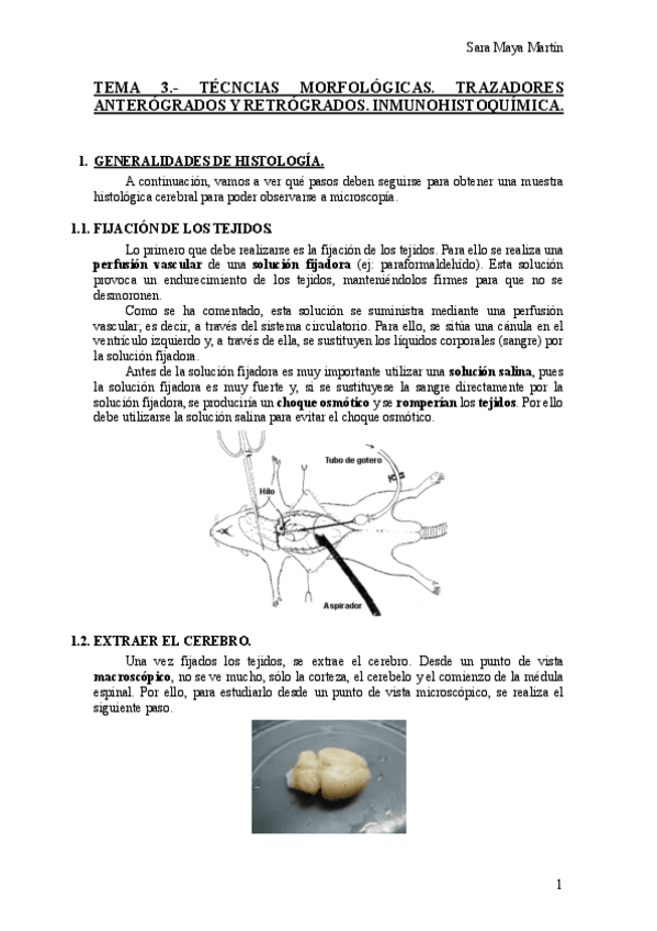Miniatura del documento TEMA-3.pdf