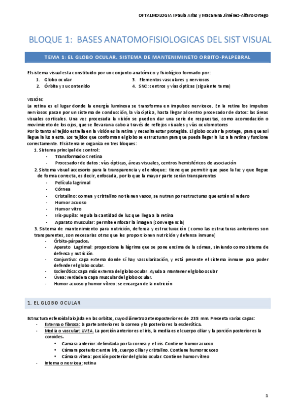 Miniatura del documento 1.pdf