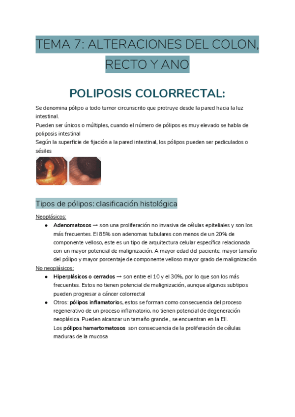 Miniatura del documento TEMA-7-ALTERACIONES-DEL-COLON-RECTO-Y-ANO.pdf