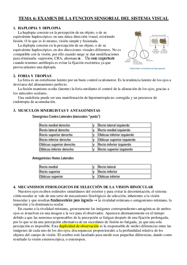 Miniatura del documento TEMA 6.pdf