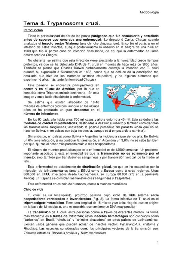 Miniatura del documento Tema-4.docx