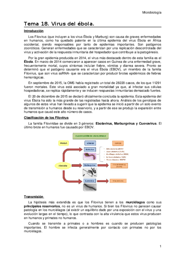 Miniatura del documento Tema-18.docx