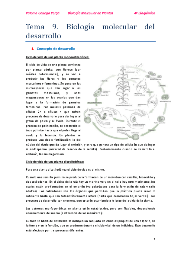 Miniatura del documento Tema 9. Biología Molecular del desarrollo. Paloma.pdf
