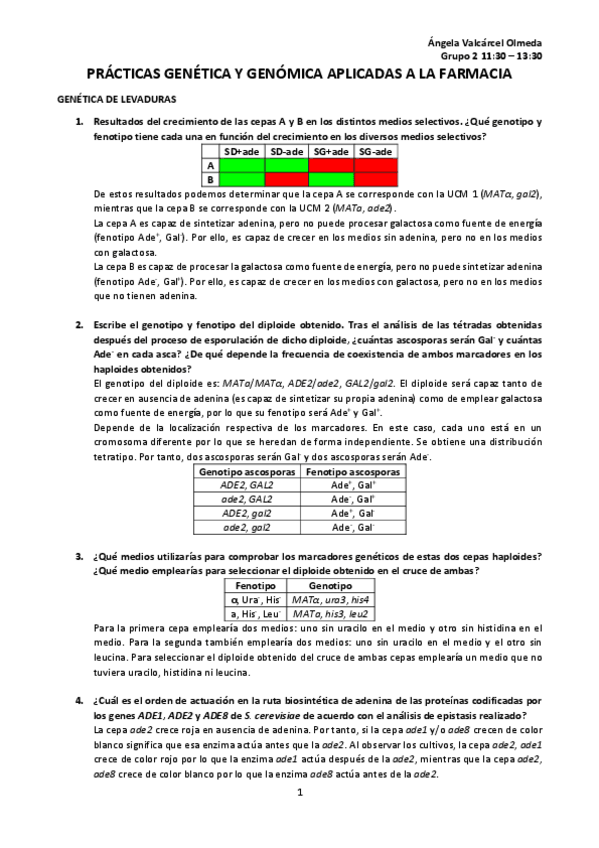 Miniatura del documento Preguntas-practicas-genetica-Angela-Valcarcel-Olmeda.pdf