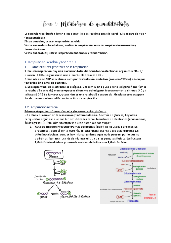 Miniatura del documento Tema-9.pdf