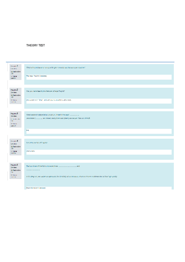 Miniatura del documento THEORY-TEST.pdf