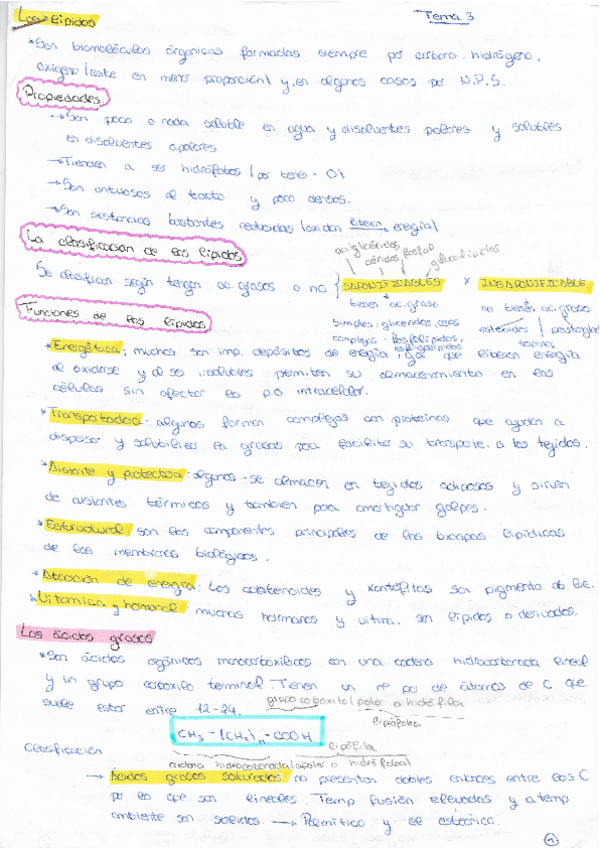 Miniatura del documento APUNTES-LIPIDOS.pdf