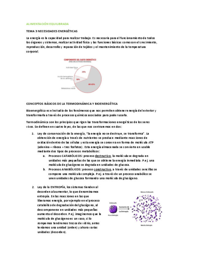 Miniatura del documento Alimentacion-Equilibrada-Tema-3.pdf