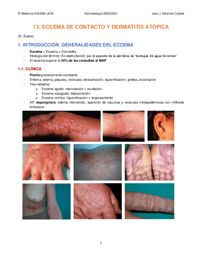 Miniatura del documento 13-ECCEMA.pdf