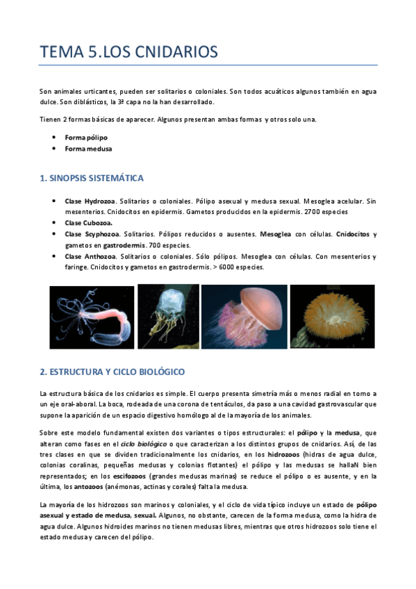 Miniatura del documento TEMA-5-ZOO-CNIDARIOS.pdf