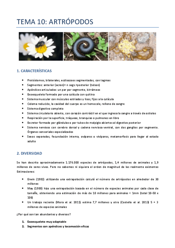 Miniatura del documento TEMA-10-ZOO-ARTROPODOS.pdf