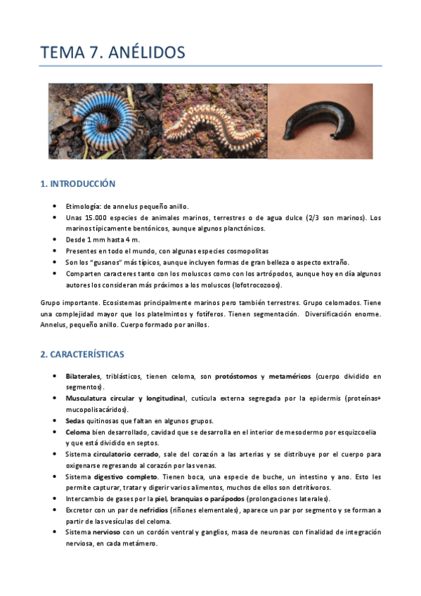 Miniatura del documento TEMA-7-ZOO-ANELIDOS.pdf