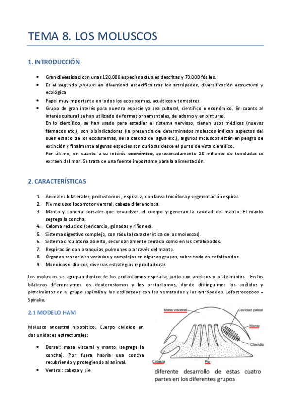 Miniatura del documento TEMA-8-ZOO-MOLUSCOS.pdf