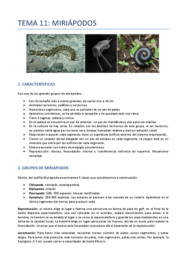 Miniatura del documento TEMA-11-ZOO-MIRIAPODOS.pdf