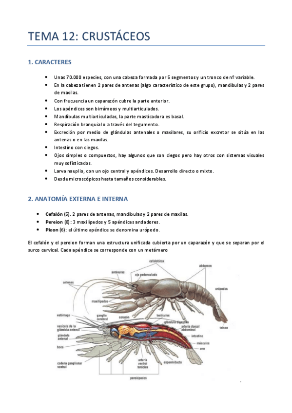 Miniatura del documento TEMA-12-ZOO-CRUSTACEOS.pdf