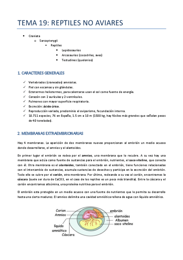 Miniatura del documento TEMA-19-ZOO-REPTILES.pdf