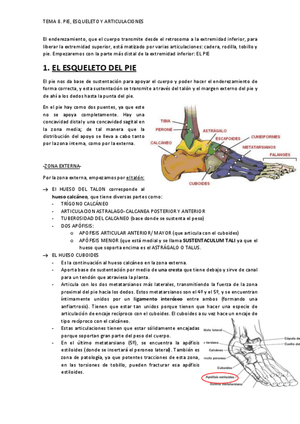 Miniatura del documento TEMA-8.pdf