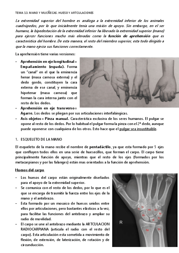 Miniatura del documento TEMA-13.pdf
